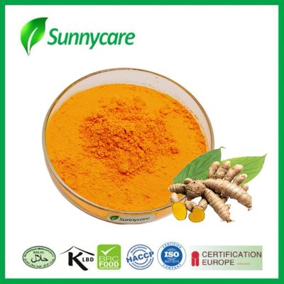 Turmeric Extract Yellow Powder 95% Curcumin Curcuma Longa Root Extract