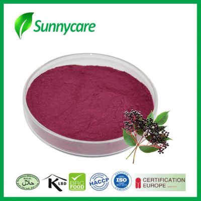 استخراج آبمیوه هویج پودر Sambucus nigra رنگ طبیعی برای مواد غذایی و نوشیدنی