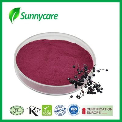 پودر عصاره توت سیاه از Sambucus nigra برای ایمنی و حیات
