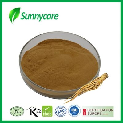 استخراج ریشه Dong Quai پودر Angelica sinensis درمان قاعدگی صنعت دارویی