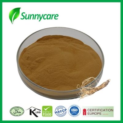 پودر استخراج دونگ کوی پولی ساکارید Angelica sinensis گردش خون را تقویت می کند
