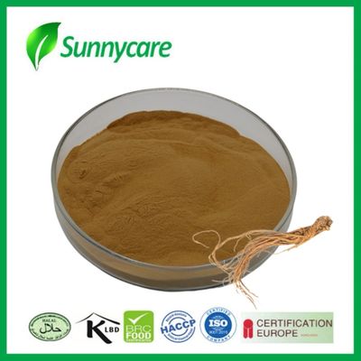 استخراج Dong Quai پودر Angelica sinensis تعادل هورمون مکمل های غذایی