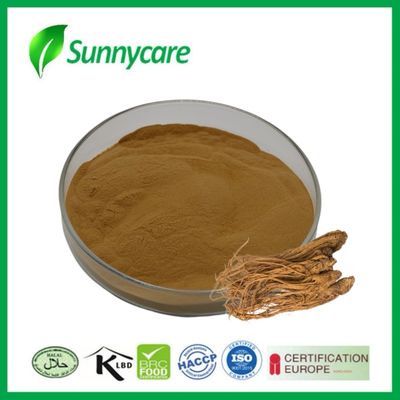 عصاره Dong Quai Angelica sinensis تقویت سیستم ایمنی بدن مواد غذایی کاربردی نوشیدنی های انرژی زا
